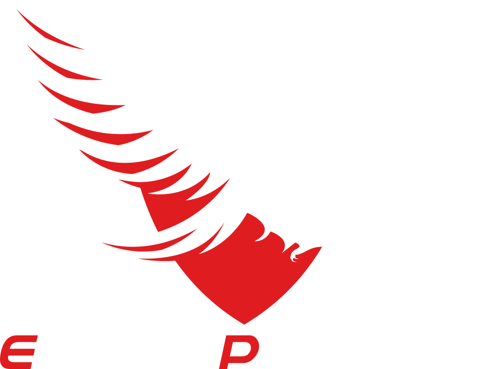 Eagle Protect Logo